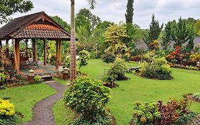 Karang Sari Guesthouse & Warung